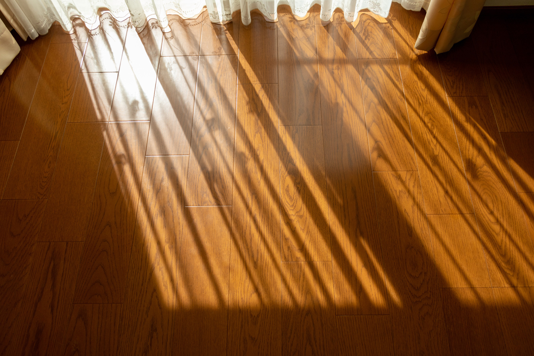 Monarch Plank flooring with sunbeams shining