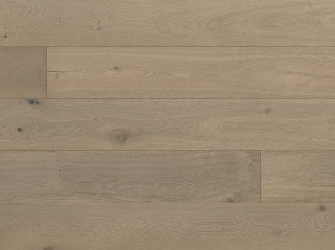 Monarch Plank/Renoir