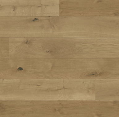 Monarch Plank/Campo
