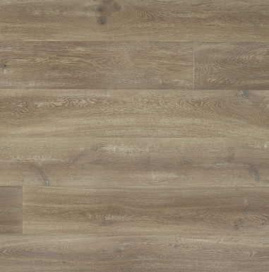 Monarch Plank/Allier