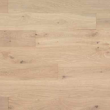 Monarch Plank/Devero