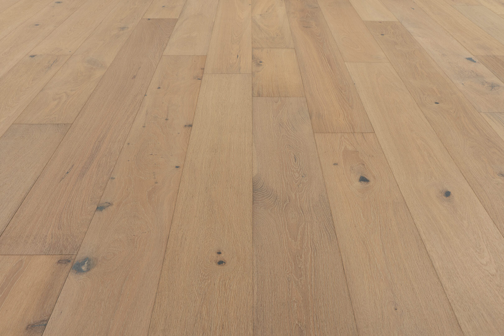 European oak
