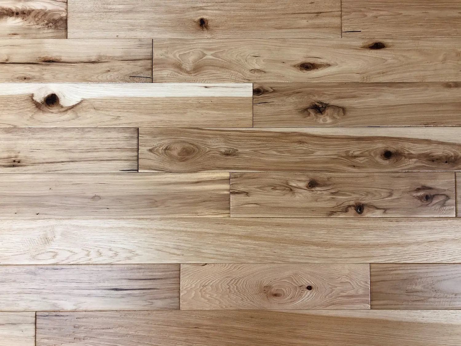 Hickory